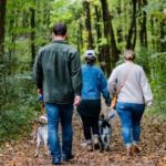 family walking on a trail in the woods