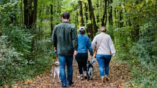 family walking on a trail in the woods