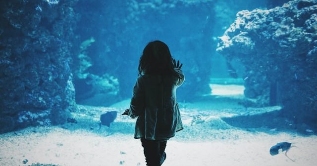 small child touching aquarium glass with fish