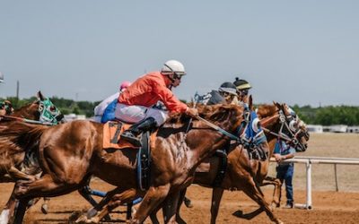 Experience the Horse Races, Slots, Drinks, & More at Remington Park!