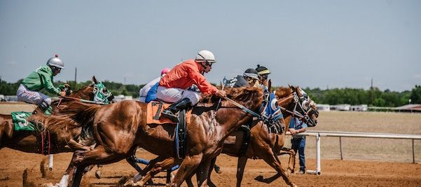 horses and jockeys racing on track
