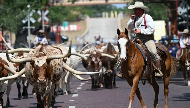 Historic Stockyards City, an Iconic Location in Oklahoma City with Rich History