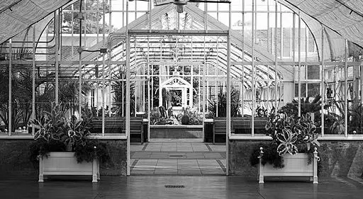 black and white photo. glass windows with plants and benches