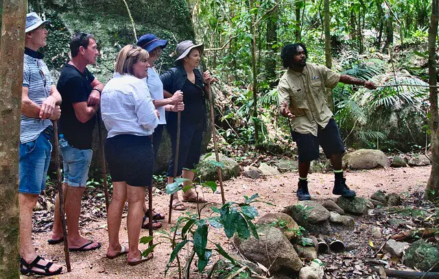 guided tour in the woods