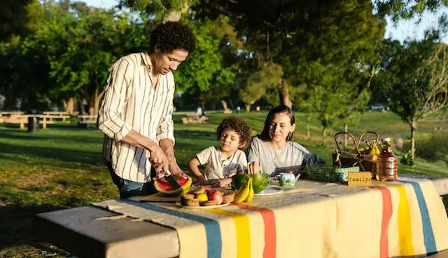 family having picnic at the park