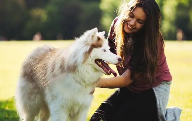 woman petting dog