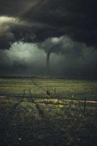 field with a tornado in the background