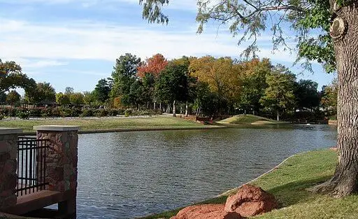 pond with trees in the background