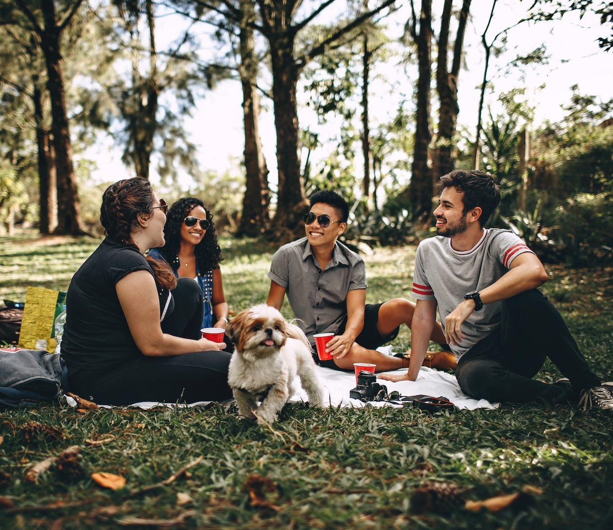 Group of People Sitting on White Mat on Grass Field