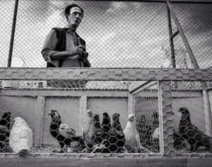 man standing over cage of pigeons