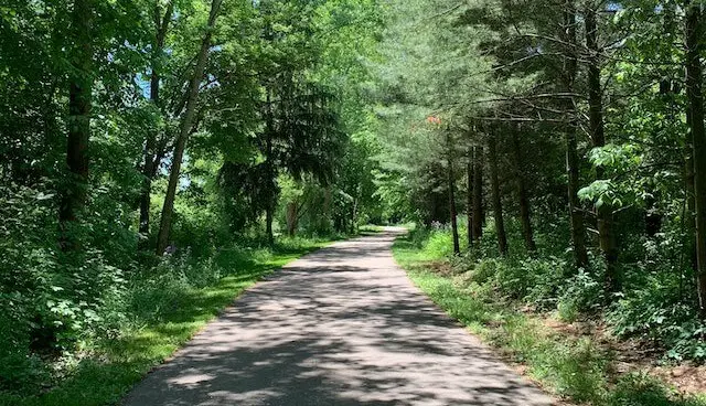 paved nature trail in trees